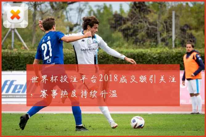 世界杯投注平台2018成交额引关注，赛事热度持续升温