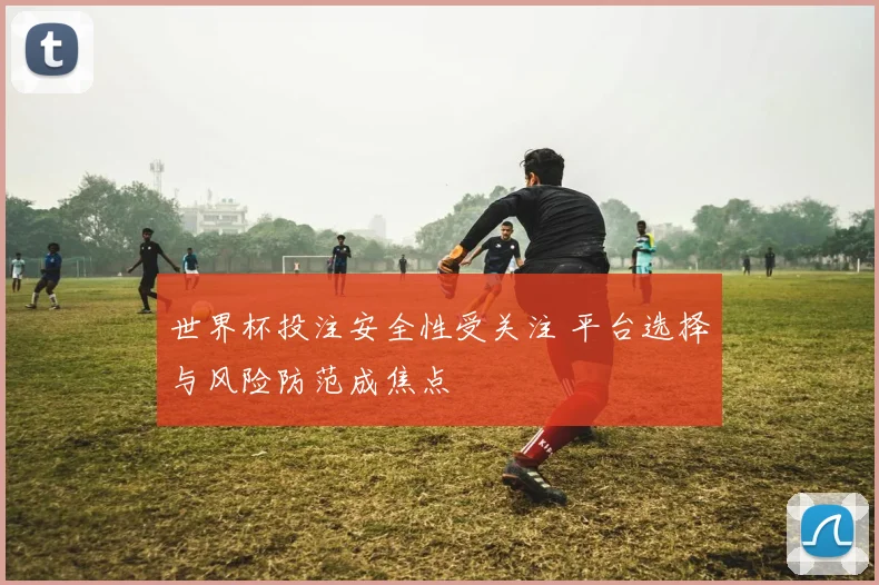 世界杯投注安全性受关注 平台选择与风险防范成焦点